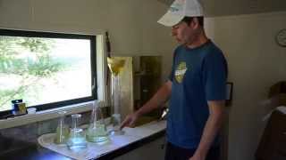 Making Organic Manuka Oil with Tim MurrayLeslie [upl. by Ainollopa]