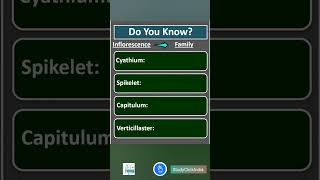 Inflorescence and Angiosperm Plant Families shorts [upl. by Sirac]