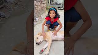 Papa hamare dog ko chot lag gai 😱🥹KritikachannelShortsviraltrendingytshorts [upl. by Burack]