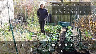 Quick Walk Through The Garden  Indoor Growing  Worm Bins  Indoor Quail  Its All So Fun 👌 [upl. by Clim]