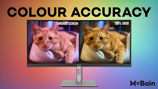 What Makes a Monitor BETTER for Photography [upl. by Fita]