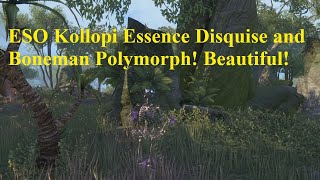 ESO Kollopi Essence and Polymorphs Beautiful Combo [upl. by Pruchno711]