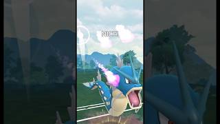 Triple Gyarados VS Team Rocket [upl. by Elleirad]