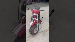 Coleman Minibike Transformation Start of Teardown [upl. by Nnadroj]