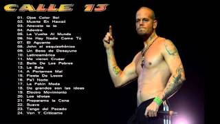 Mix Calle 13 Sus Mas Grandes Exitos 24 Grandes Exitos Enganchados [upl. by Einwahr]