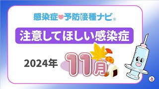 【2024年】11月に注意してほしい感染症！インフルエンザの動向に要注視 マイコプラズマ肺炎は過去最多を更新 医師「関東は伝染性紅斑に注意」 [upl. by Alyehc32]