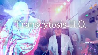 【M細胞の業深き情念】Transcytosis HO [upl. by Delaine]