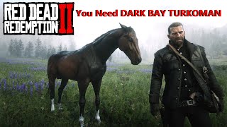 Dark Bay Turkoman Cerberus Get It Early amp Free Red Dead Redemption 2 BestHorses RDR2 [upl. by Ytsur]