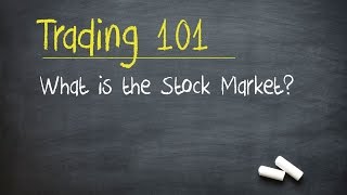 Trading 101 What is the Stock Market [upl. by Ettelliw]