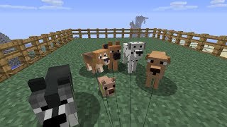 Обзор модов №16 Copious Dogs Mod [upl. by Auqinat]