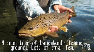 Mini Fishing Tour of Langeland Discover Small Fish Wonders [upl. by Enorej]