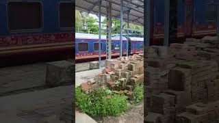 DECCAN ODYSSEY stabled at Margao junction in goa viralvideo train railway travel tour goa [upl. by Iaverne]