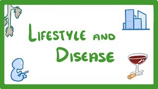 GCSE Biology  Is Your Lifestyle Really a Personal Choice  Lifestyle amp Risk Factors 42 [upl. by Roach]