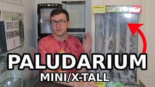 What to put in a Paludarium MiniXtall  Tank Suggestions [upl. by Noreht170]