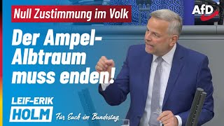 Null Zustimmung Der AmpelAlbtraum muss enden  LeifErik Holm MdB [upl. by Goeger]