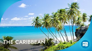 Best Cruises to Caribbean  2025  2026 Cruises  Norwegian Cruise Line [upl. by Eahsel848]