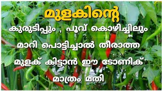 ഒരിക്കൽ ചെയ്താൽ 100 ഫലം  Kanthari mulaku കൃഷി malayalam  Pachamulaku krishi tips  Prs Kitchen [upl. by Lav]