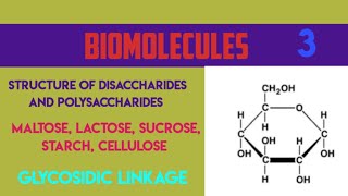 STRUCTURE OF DISACCHARIDES AND POLYSACCHARIDES MALTOSE LACTOSE SUCROSESTARCH CELLULOSE [upl. by Hcelemile]