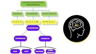 Bioelementos Biomoleculas inorganicas agua propiedades físicas y quimicas gases sales minerales [upl. by Gasper]