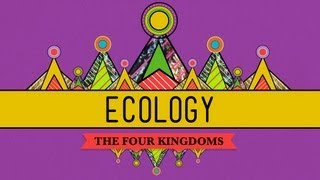 Ecology  Rules for Living on Earth Crash Course Biology 40 [upl. by Ayrad]