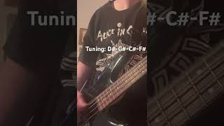 Would by Alice in Chains bass cover [upl. by Bunnie911]