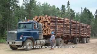 The Forestry Industry in Atlantic Canada [upl. by Tranquada983]