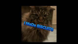 BETHANY I MADE BISCUITS [upl. by Avigdor]