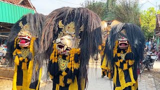 Arak Arakan Barongan Blora amp Reog SINGO KEMBAR JOYO Live Pengkolrejo [upl. by Norud]