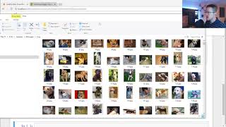 Loading in your own data  Deep Learning basics with Python TensorFlow and Keras p2 [upl. by Yeslrahc]