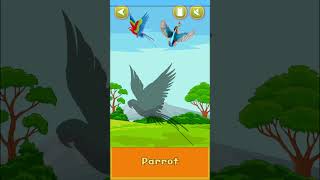 Birds Name with Sound  A to Z Birds Name  Birds  Pre School  Birds Song  Cute Birds birds [upl. by Tiraj]