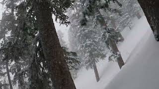 Powder March  Arizona Snowbowl March 15 2024 [upl. by Amity]