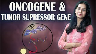 Oncogenes vs Tumorsuppressor genes difference between oncogenes and antioncogenes [upl. by Analram618]