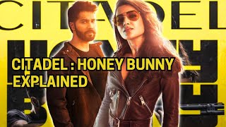 Citadel Honey Bunny 2024 Web Series Explained in Hindi  Citadel Series Ending Explained in Hindi [upl. by Reger14]