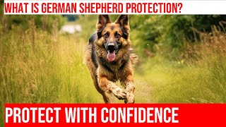 Train Your German Shepherd to Protect The Ultimate Guide [upl. by Morty351]