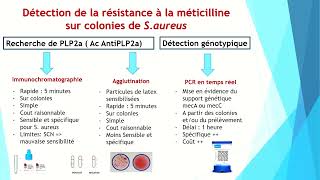 Partie 1 Lecture interprétative de l’antibiogramme des cocci à Gram positif [upl. by Tillion995]