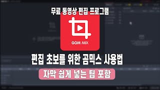 곰믹스 사용법 음악넣기 영상 자르기 자막 넣는법까지 기본적인 것과 꿀팁까지 간단하게 알려드려요 [upl. by Dielle]