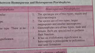 difference between homosporous pteridophytes amp heterosporous pteridophytes besthandwrittenstudynotes [upl. by Maje]