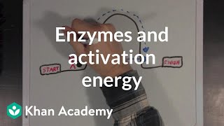 Enzymes and activation energy  Biomolecules  MCAT  Khan Academy [upl. by Nairoc]