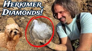 Digging HUGE Herkimer Diamond Crystals The Crystal Collector LIVE [upl. by Hacker]