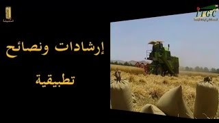 قناة quot السنبلةquot عملية الحصاد والدرس ـ نصائح وإرشادات تطبيقية  ITGC Oued Smar [upl. by Lertnom]