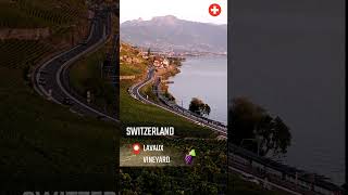 How beautiful it is to see a red train passing by Lavaux vineyard in Switzerland shorts train [upl. by Odnalref]