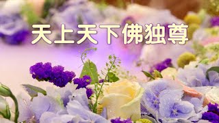 天上天下佛独尊 圣开导师 讲 《幸福之音》 唯佛宗世界人乘佛教 [upl. by Orestes717]