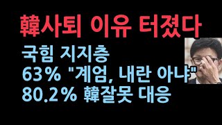 국힘 지지층 63 “비상계엄 내란 아냐”한동훈의 계엄 대응에 802 잘못하고있다 갤럽 [upl. by Llij]