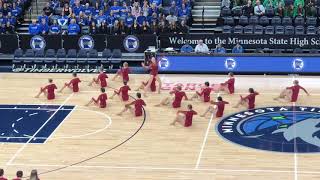 Wayzata Dance Team State 2019 Jazz [upl. by Sean]