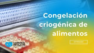 Congelación criogénica de alimentos [upl. by Heim454]