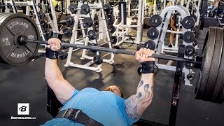 3 Quick Tips To INCREASE Bench Press Strength  Steve Gentili [upl. by Conias]