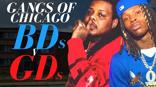 Gangs of Chicago  BDs v GDs [upl. by Ainad870]