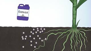 How Phosphorus Behaves in the Soil [upl. by Agneta38]