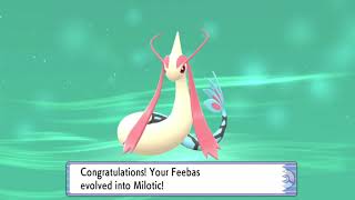 Pokemon BDSP Simple Guide for evolving Milotic via Beauty [upl. by Lanta]