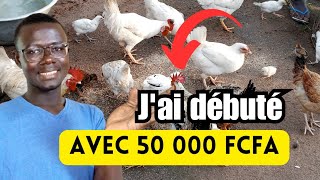 Comment débuter lélevage des Poules Locales avec 50 000 FCFA [upl. by Arretak]